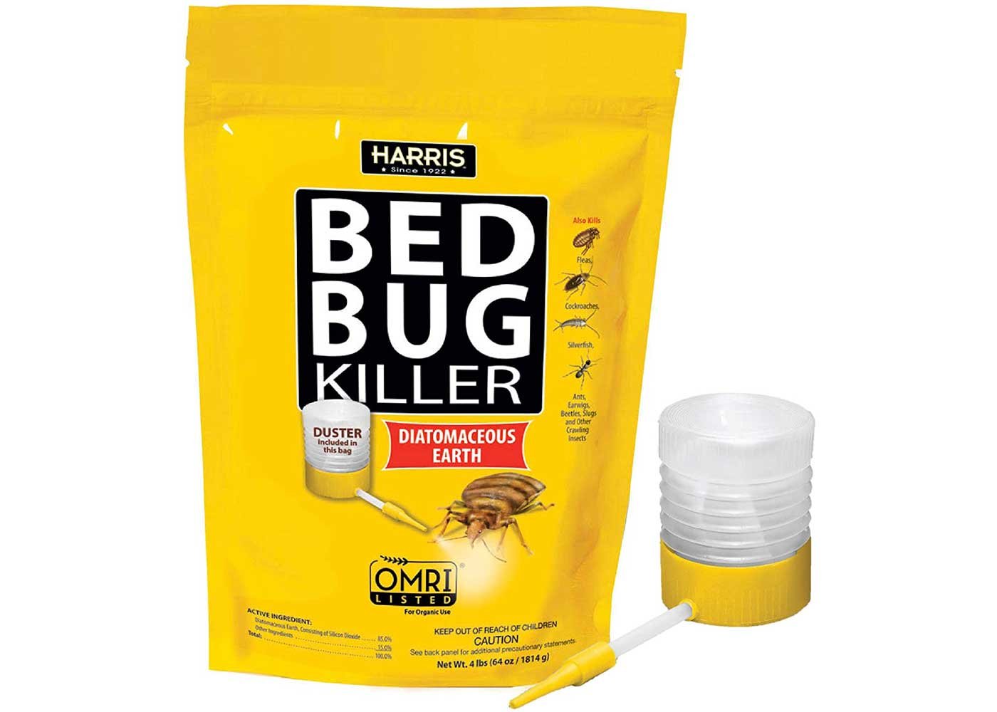 bed bug powder on mattress
