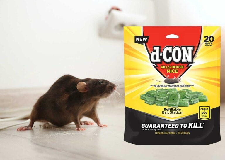 Best Rat Bait To End Rat Infestation Once And For All