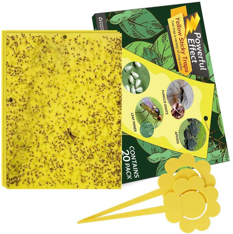 Kensizer Dual-Sided Yellow Sticky Traps for Indoor and Outdoor