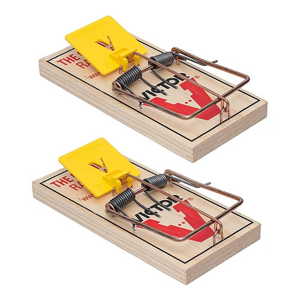 The 7 Best Rat Trap Review and Buying Guide