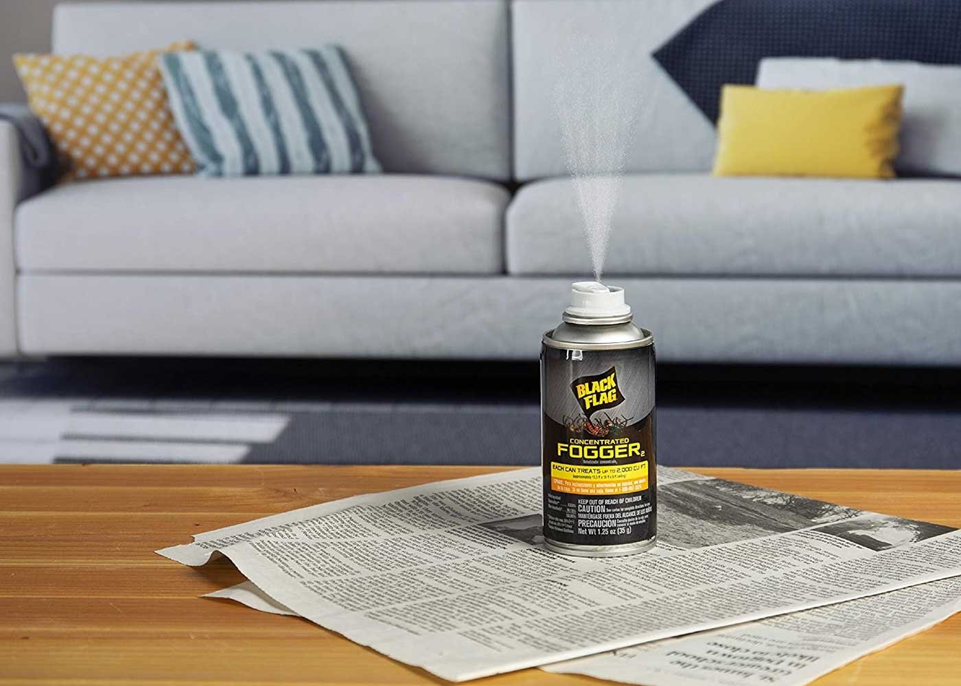 Best Bed Bug Fogger to Help Get A Good Night’s Sleep Reviews