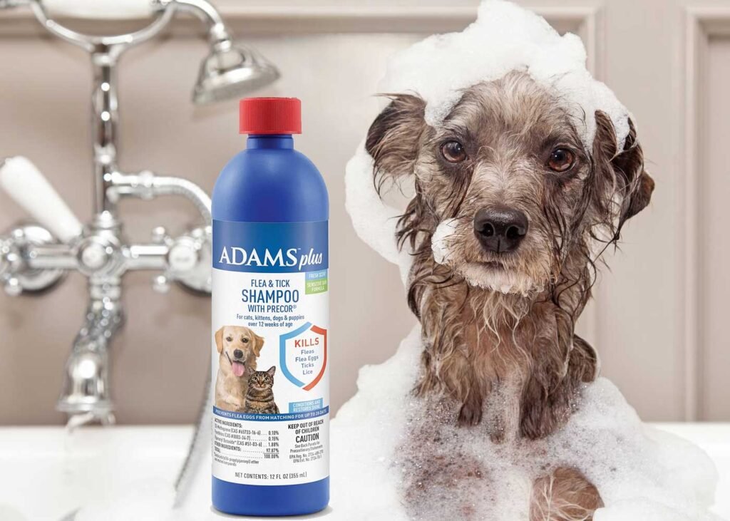 Adams Plus Flea and Tick Shampoo Review -