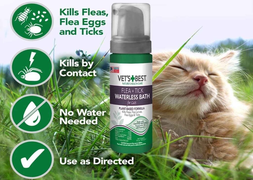 Best Flea Shampoo for Cats featured