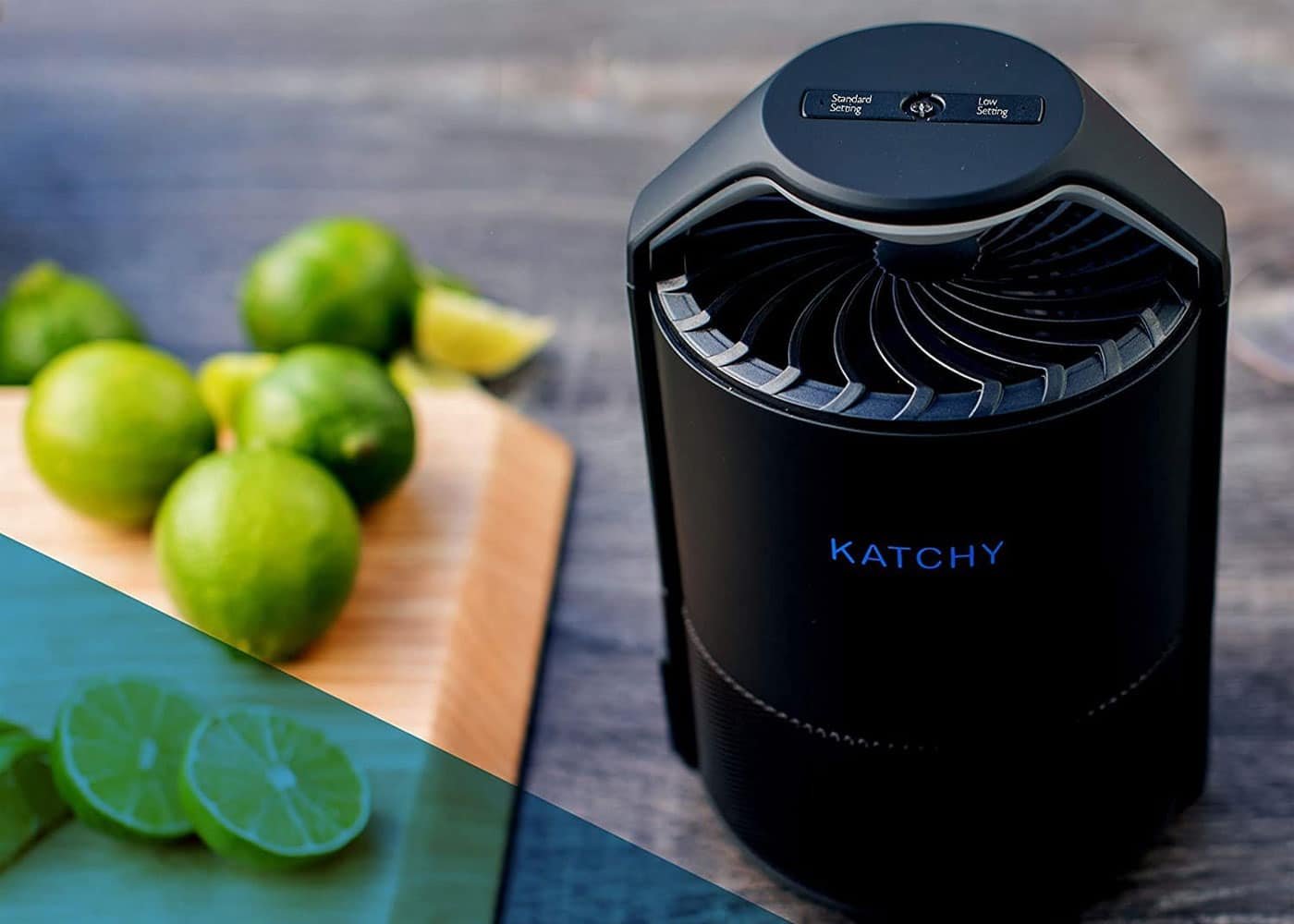 Best Fruit Fly Traps To Catch Fruit Flies Buying Guide