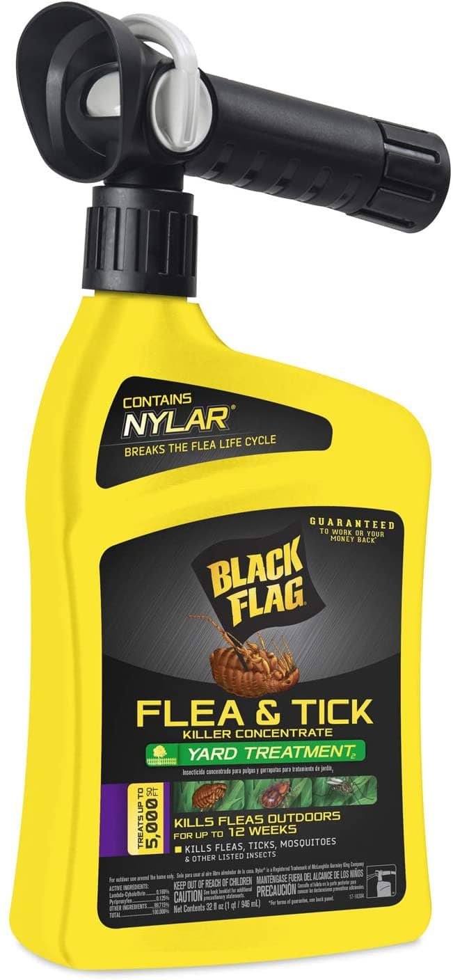 Picture of Stop A Flea Infestation With The Best Flea Spray For Yard | Reviews