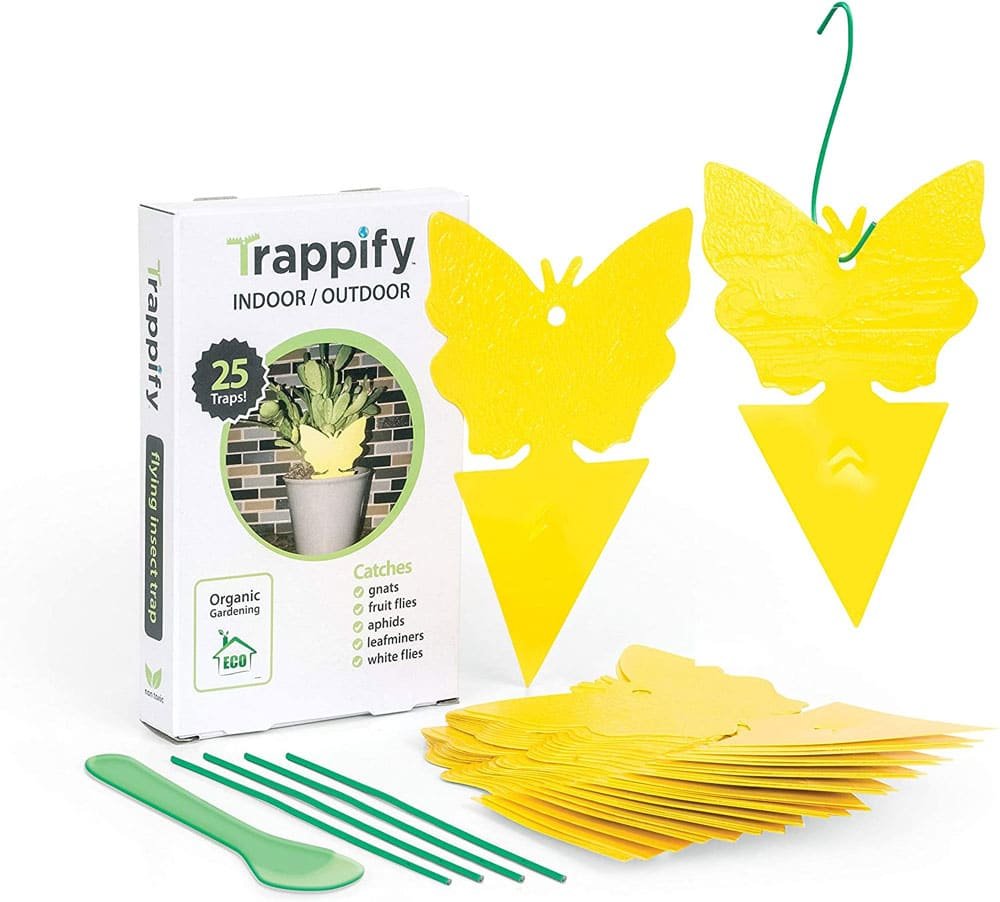Trappify Sticky Fruit Fly And Gnat Trap Yellow Sticky Bug Trap
