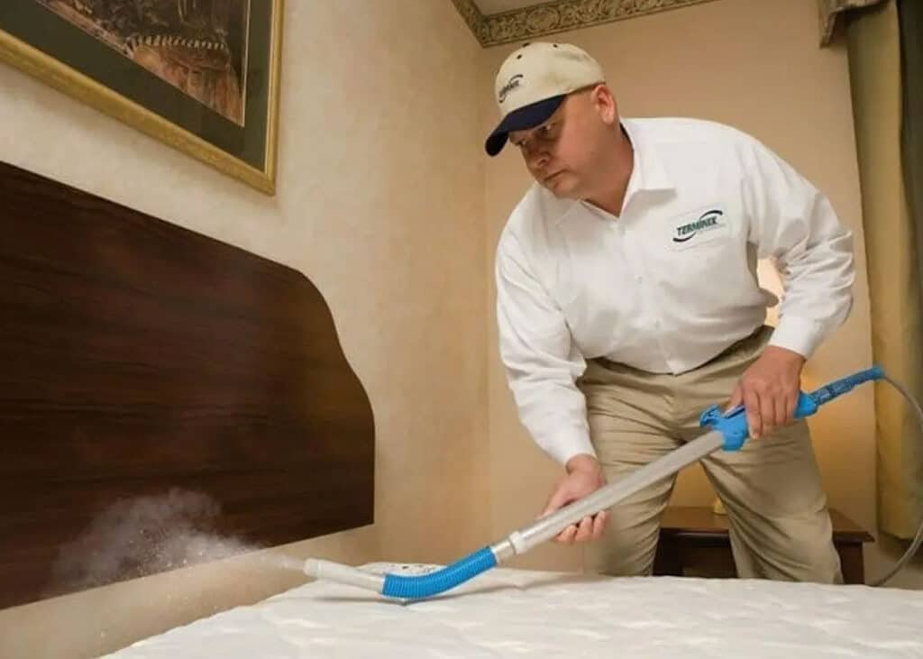 How to Get Rid of Bed Bugs Permanently and Effectively