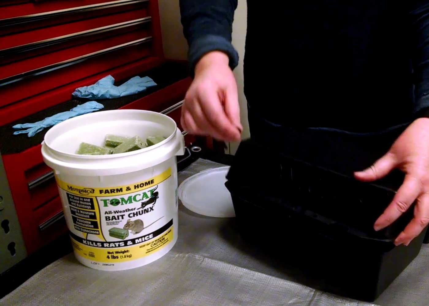 Tomcat All-Weather Bait Chunx, 9lb - 32446 | Rural King Tomcat All-Weather Bait Chunx, 9lb - 32446 | Rural King