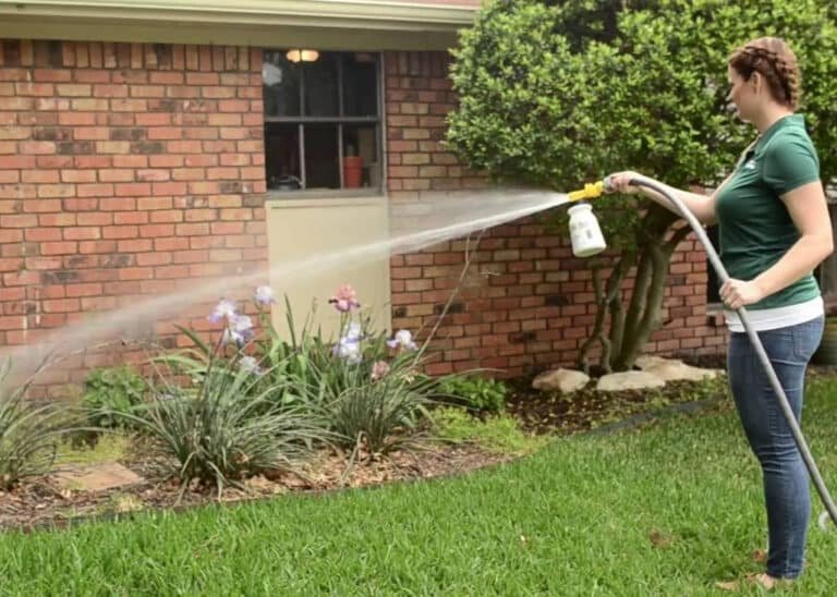 Photo inspiration: When To Use Flea Spray In Your Yard Not Harmful Photo Inspiration