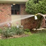 When to use flea spray in your yard—not harmful to plants