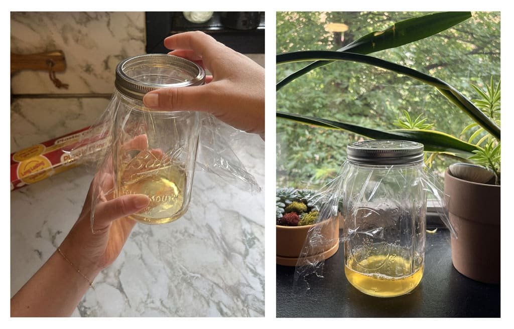 How fruit fly traps keep your kitchen bug-free